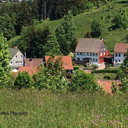 Апартаменты Am Muehlenberg Альтенау Экстерьер фото